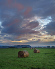 hay bales in the field