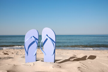Stylish flip flops in sand on beach. Space for text