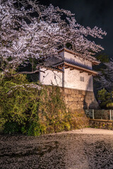 夜桜と高崎城跡のお堀