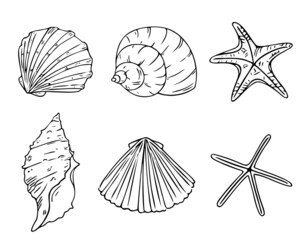 Doodle starfish and seashells set, hand-drawn sea symbols. Fossils painted by ink, pen. Line, minimalism. Simple sketchy icons. Isolated. Vector illustration.