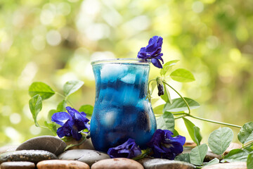 Butterfly pea flowers juices on nature background.