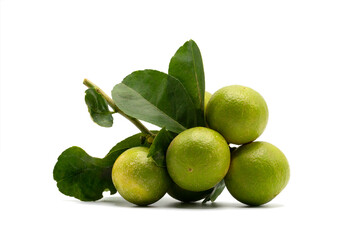 Bunch of green lemons with leaves isolated on white background