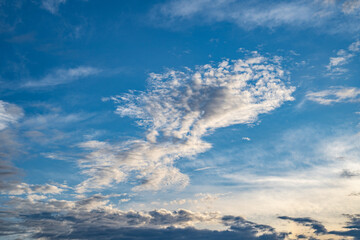 羽ばたく鳥の様な形の雲