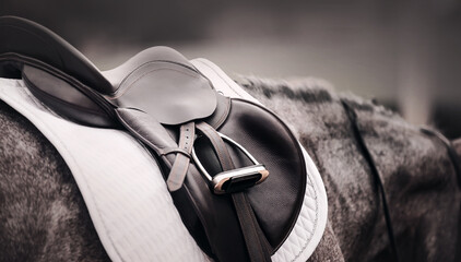 The gray horse is wearing a black leather saddle, a white saddlecloth, a metal stirrup and a...