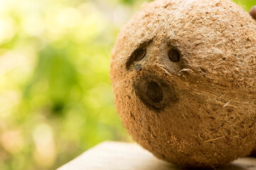 Whole coconut on nature background.