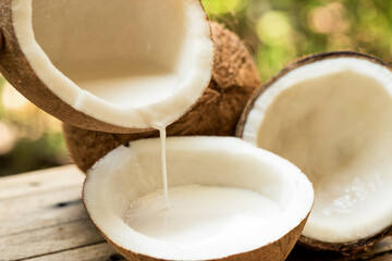 Whole coconut ,half of coconut and coconut milk on nature background.