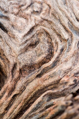 Old wood pattern,texture nature background.