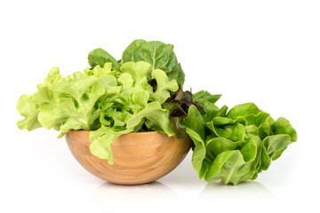 Lettuce vegetable isolated on white surface.