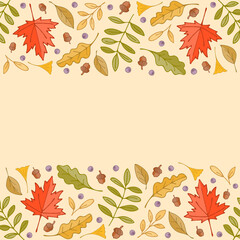 Autumn maple leaves and berries border background