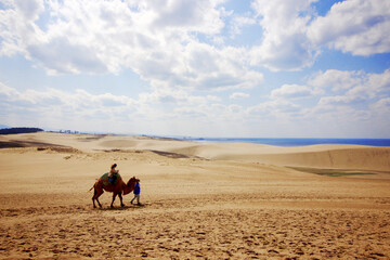 砂漠でラクダに乗る女性のシルエット