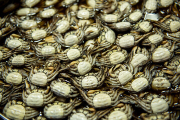 Salted crabs isolated on white surface.