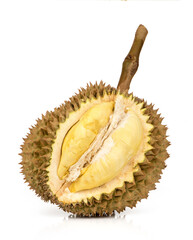 Fototapeta premium Durian or durio fruit isolated on white surface.
