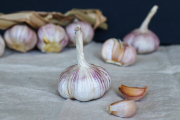 Garlic bulb and garlic cloves on textile background