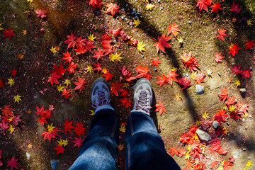 Feet of a traveler standing on the ground full of red and yellow maple leaves in autumn, Kyoto, Japan