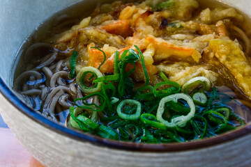 Bowl of vegan soba noodles with spring onion and vegetable tempura, in Kyoto, Japan