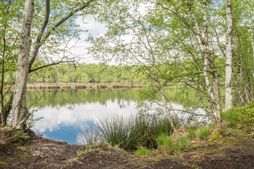 Moorlandschaft im Frühling bei Kiel