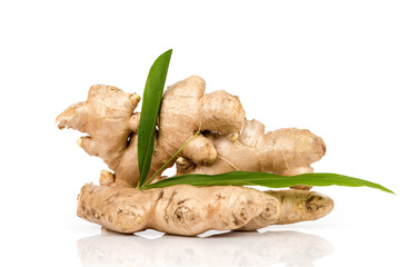 Ginger rhizome isolated on white background.
