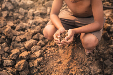 Sad a boy sitting on dry ground .Seedling wither on dry land. As the young man's hand was gently encircled. concept hope and drought