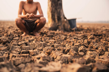 Sad a boy sitting on dry ground .Seedling wither on dry land. As the young man's hand was gently encircled. concept hope and drought