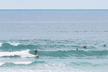 Surfer on a small beach break, les casernes beach, seignosse, landes, france