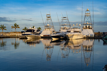 Many Boats Docked at a Marina with palm tree and blue sky 