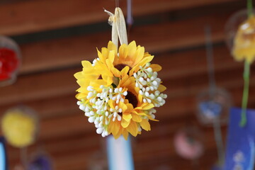 黄色くて綺麗な花