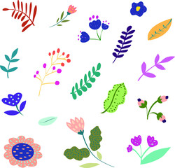 Leaves and flowers illustration vector set