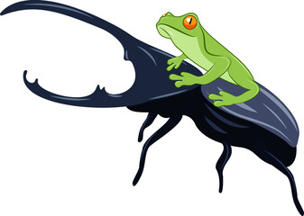 Frog onHercules beetle