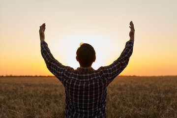 Man grateful for the harvest raised his hands up in the field