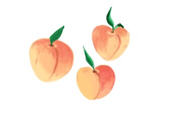 Peach fruit digital drawing, isolated on a white background
