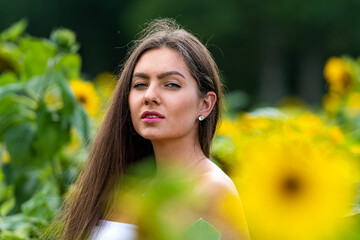 beautiful girl in a sunflower field, woman with sunflowers, yellow sunflowers