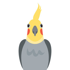 Cute cockatiel parrot front view icon vector. Funny cockatiel parrot icon isolated on a white background. Pet bird head vector
