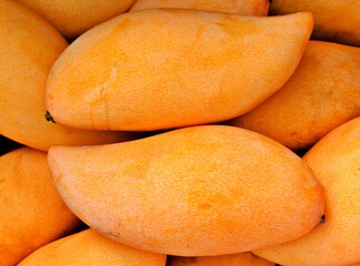 yellow ripe mango close up