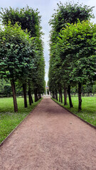 path in the park