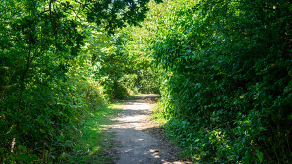 Obraz premium Garden and Estate at Speke Hall