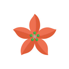 Poinsettia or Euphorbia pulcherrima vector icon. Flowering plants or decorative object for card, gift for celebration in event i.e. merry christmas, holiday, happy new year in december, winter season.