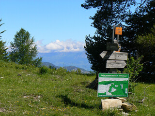 Signs for hiking trails in nature