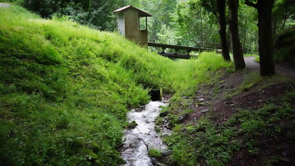 forêt, nature, chemin, eau, arbre, fleuve, ruisseau, paysage, parc, route, rocher, montagne, chute d'eau, été, bois, piste, printemps, pierre, rural, mousse, gazon, feuille, automnal