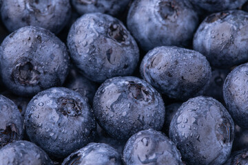 Blueberries closeup with water drops, food background, blueberries background