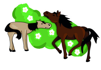 Horses and flower meadow vector colored illustration