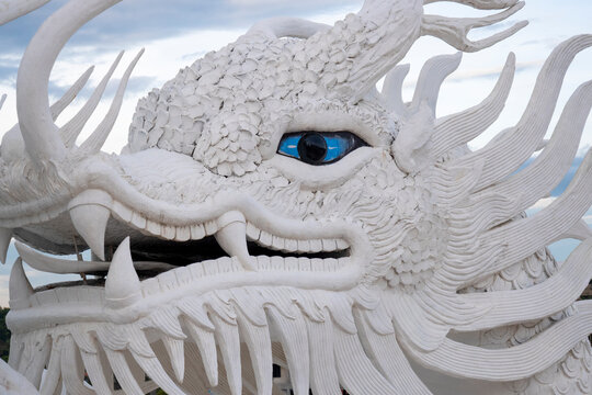 White Dragon Close-up Blue Eyes