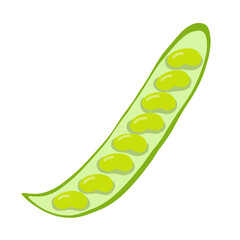 Fresh peas hand-drawn vector illustration. Vegatarian and diet pea . Fresh and organic pease. Vegetarian ingredient for salad.