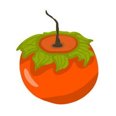 Obraz premium Hand-draw persimmon vector illustration. Farm organic for juice. Vegetarian diet illustration.