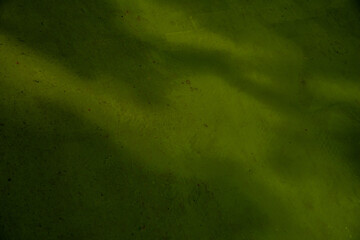 fond ou arrière-plan vert, vert olive, abstrait, texture de mur de béton coloré