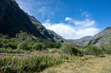 Naklejka premium Paysage de montagne dans le Parc national de la Vanoise en été dans le département de la Savoie dans la vallée de l'Arc en france