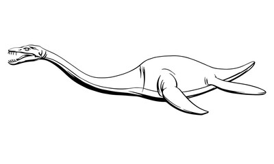 Fototapeta premium Plesiosaur in a linear style, ink drawing.Vector illustration.