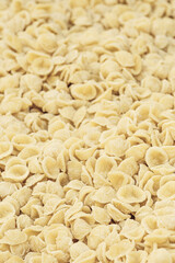 Fresh orecchiette or orecchietta, made with durum wheat and water, handmade pasta typical of Puglia or Apulia , a region of Southern Italy, close up, vertical