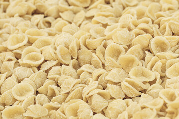 Fresh orecchiette or orecchietta, made with durum wheat and water, handmade pasta typical of Puglia or Apulia , a region of Southern Italy, close up