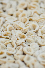 Fresh orecchiette or orecchietta, made with durum wheat and water, handmade pasta typical of Puglia or Apulia , a region of Southern Italy, close up, vertical