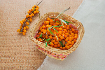 Ripe sea buckthorn. Fresh berries are in a wicker basket